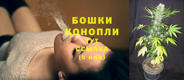гашик Нязепетровск