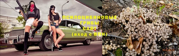 шишки Билибино