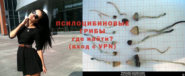 гашиш Няндома