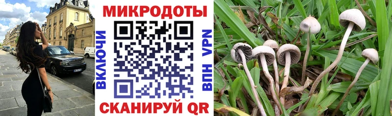 Псилоцибиновые грибы мицелий  Горячеводский 
